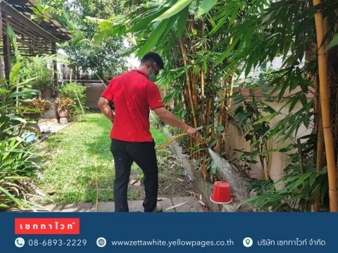 สเปรย์สมุนไพรฉีดไล่จิ้งจก ตุ๊กแก